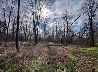 Schubert Ave NE, ALLIANCE, OH 44601