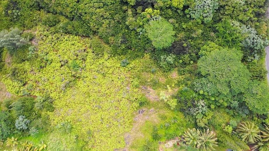 1st image of Wahi Heiau Pl