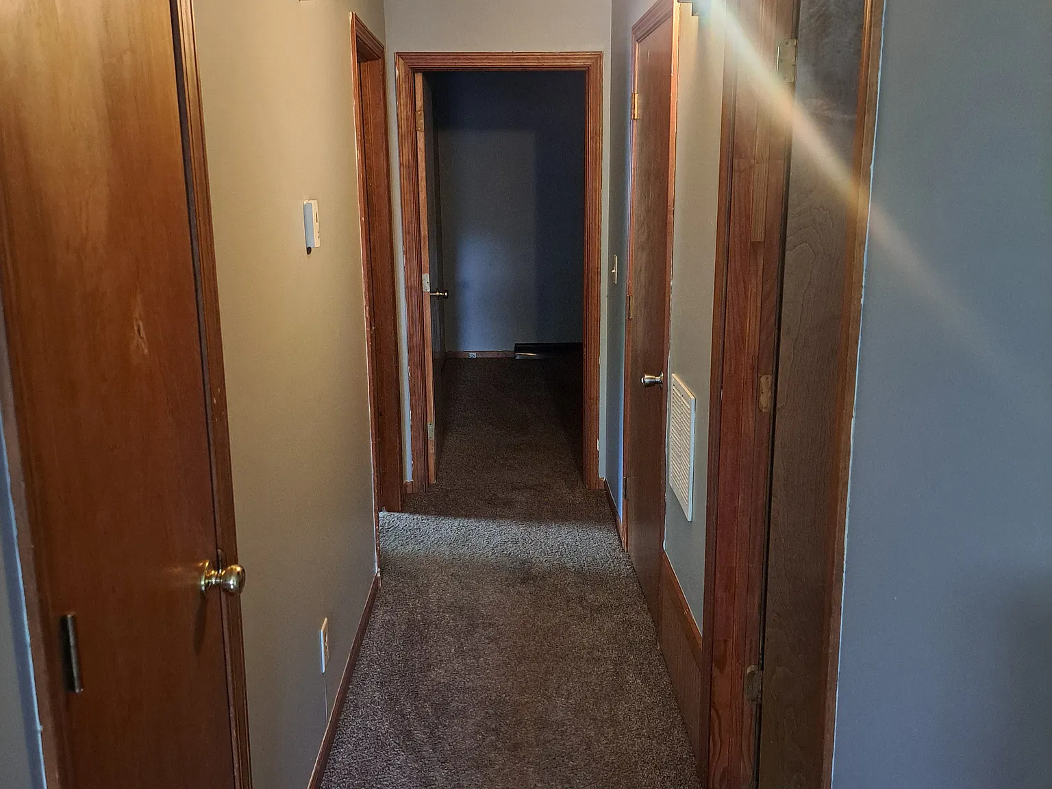 2 bed, $800 — Photo 3
