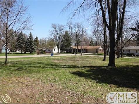 Great Lot!