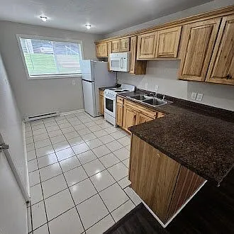405-409 E Woodlawn Ave