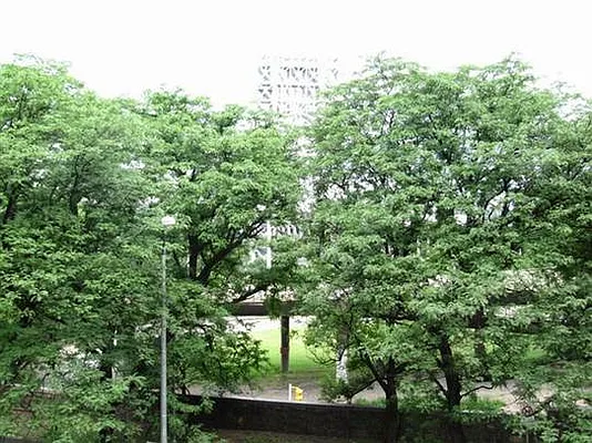 Rented by Stribling | media 9