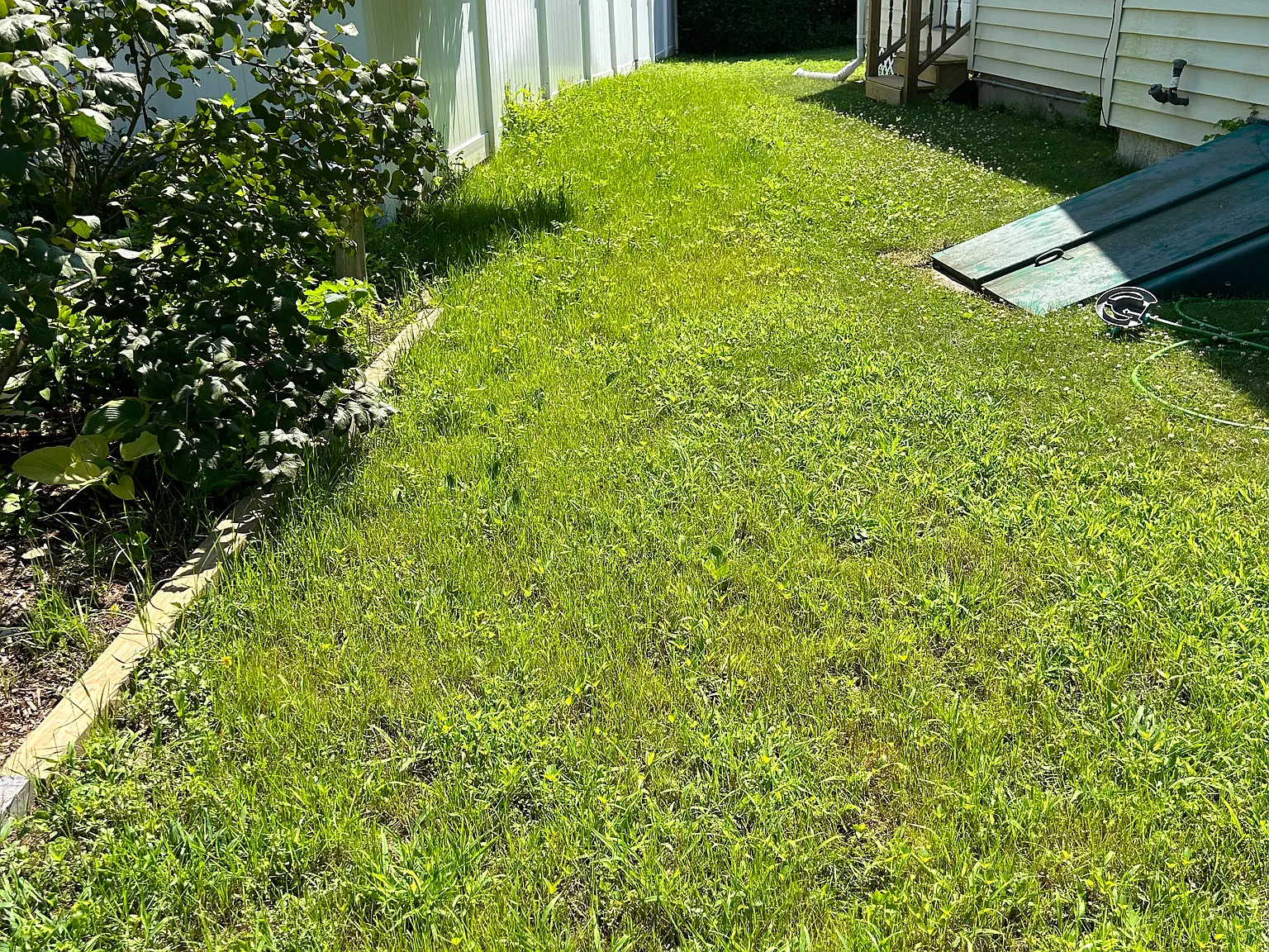 3 bed, 1334 sqft, $3,300 — Photo 3