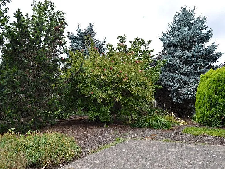 3713 SE 174th Ave — Photo 7