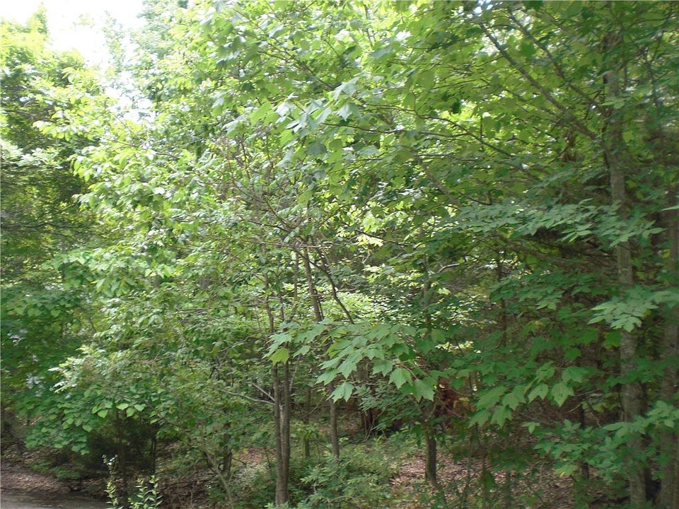 2nd image of 3 Ludlow Cir