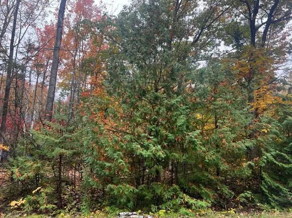 88 Timberway Dr, Presque Isle, MI 49777