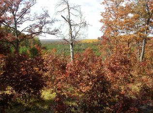 Peacock Trl, Grayling, MI 49738