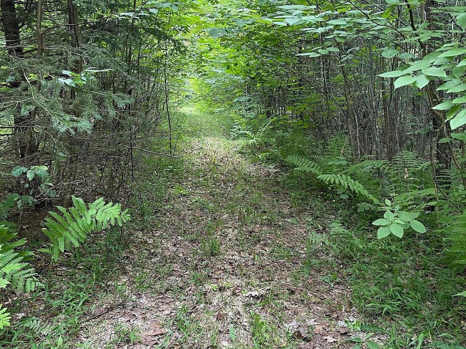 County Line Lake Boat Landing Rd, Bruce Crossing, MI 49912 Zillow