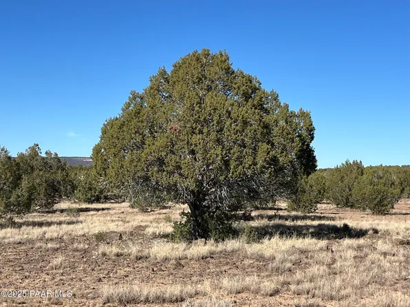 6800 Grand Vista Ranch Rd, Williams, AZ 86046