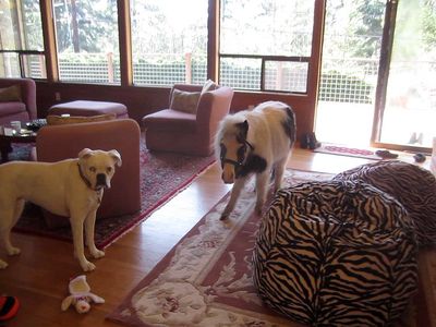 1386 Chuckanut Dr, Bellingham, WA, 98229