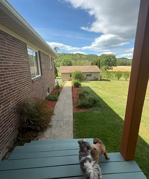 100 Shannondoah Dr — Photo 4