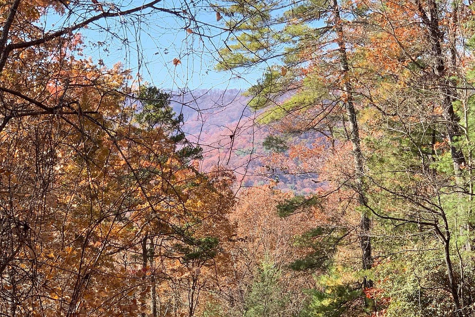 LOT 49 Fires Creek Rd, Hayesville, NC 28904 | MLS #293660 | Zillow