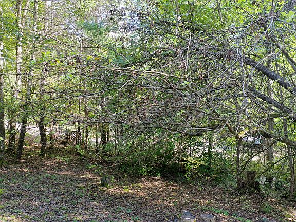 3rd image of 127 White Oak Ln Lot 2