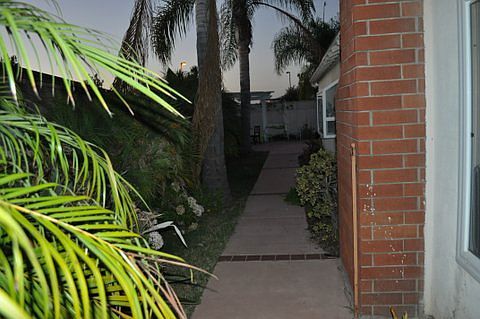 Side yard