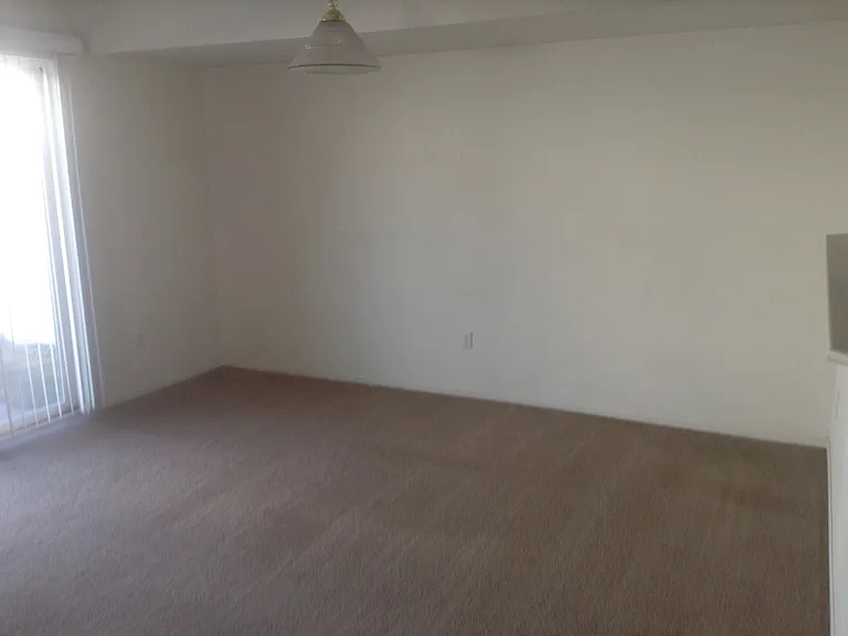 323 Arkel Way — Photo 4