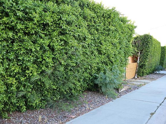 5th image of 68950 Tortuga Rd