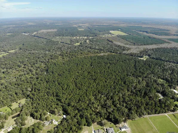 Guitreau Ln, Livingston, LA 70754