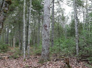 4 Carter Farm Ln, Surry, ME 04684