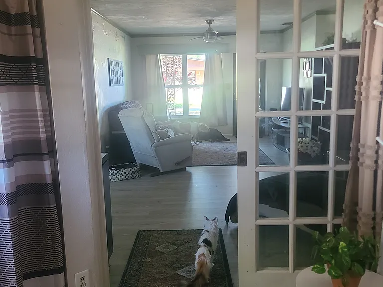 3056 Browning St — Photo 10