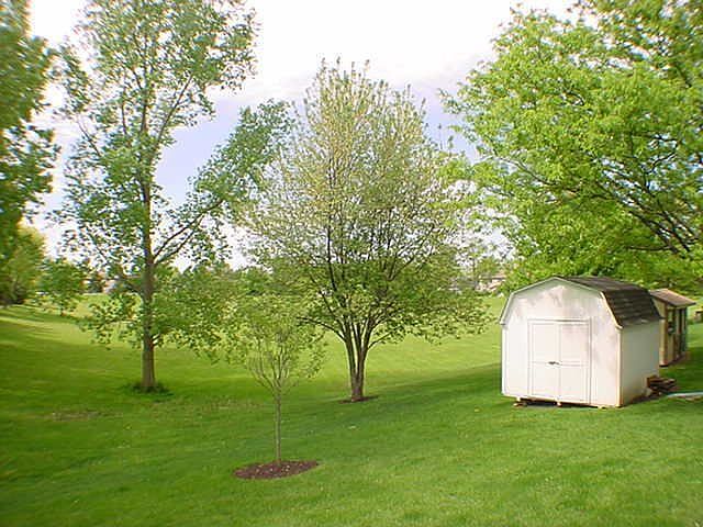 View From Deck