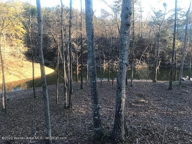 2nd image of 255 County Road 286