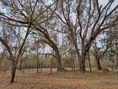 SE Farm Rd, Lee, FL, 32059