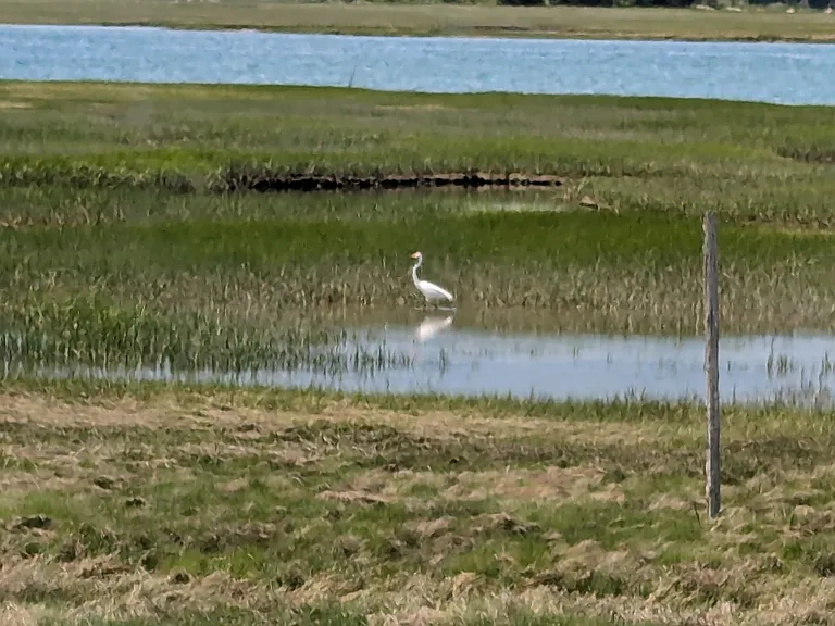 beautiful area for birdwatching