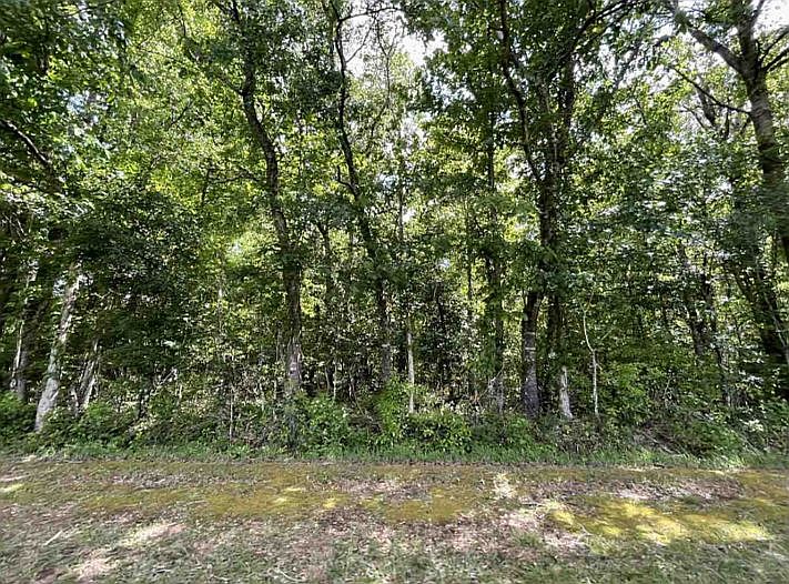 2nd image of 0 Brinson Ln