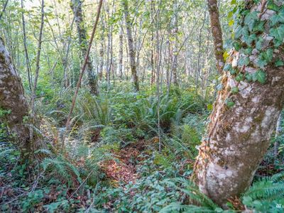 0 W Star Lake Drive, Elma, WA, 98541