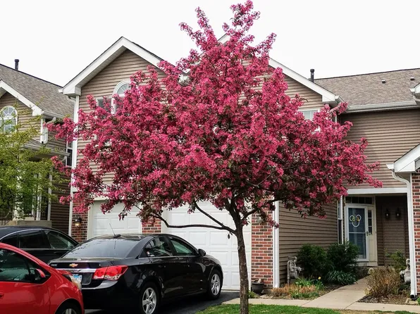 1373 Grayshire Ct, Elgin, IL 60120