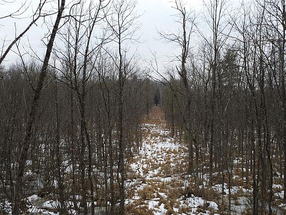 4th image of OOO LAKE RD