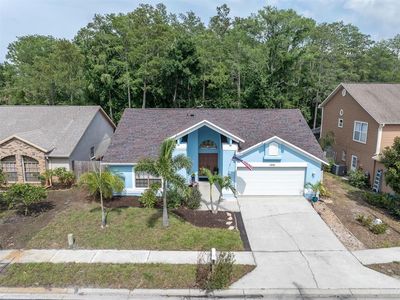 1938 Wood Thrush St, Tarpon Springs, FL, 34689