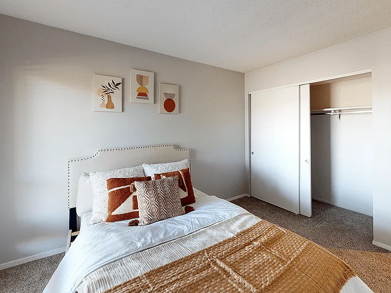 Large Bedroom Closets