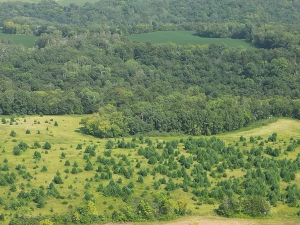 31004 Grouse Rd, Lanesboro, MN 55949