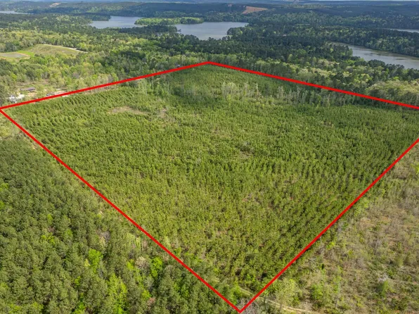 Beech Dr, Amity, AR 71921