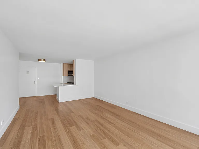 501 E 87th St #11C — Photo 4