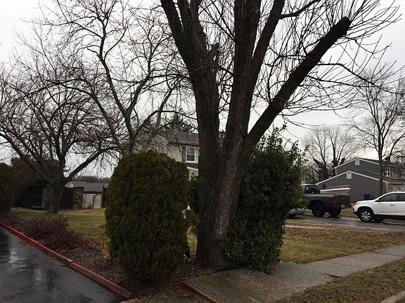 2nd image of 333 Barcelona Dr