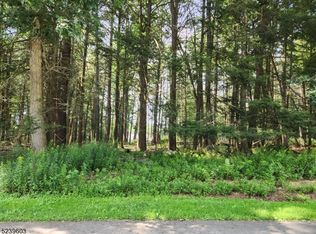 604 Sleepy Hollow Rd, Montague, NJ 07827