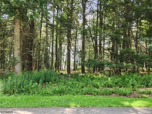 604 Sleepy Hollow, Montague Twp., NJ 07827