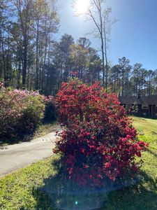 2911 Happy Hollow Dr SE, Conyers, GA, 30094