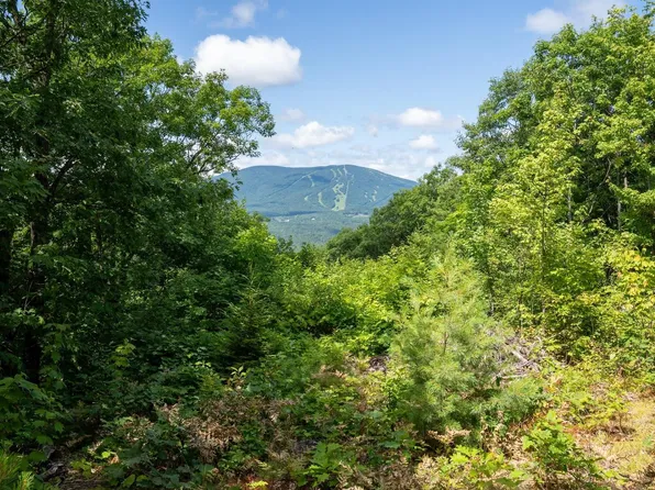 00 West Hill Road South, Jamaica, VT 05343