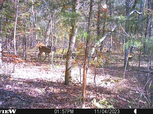 0 Private Road 8500, Avery, TX 75554