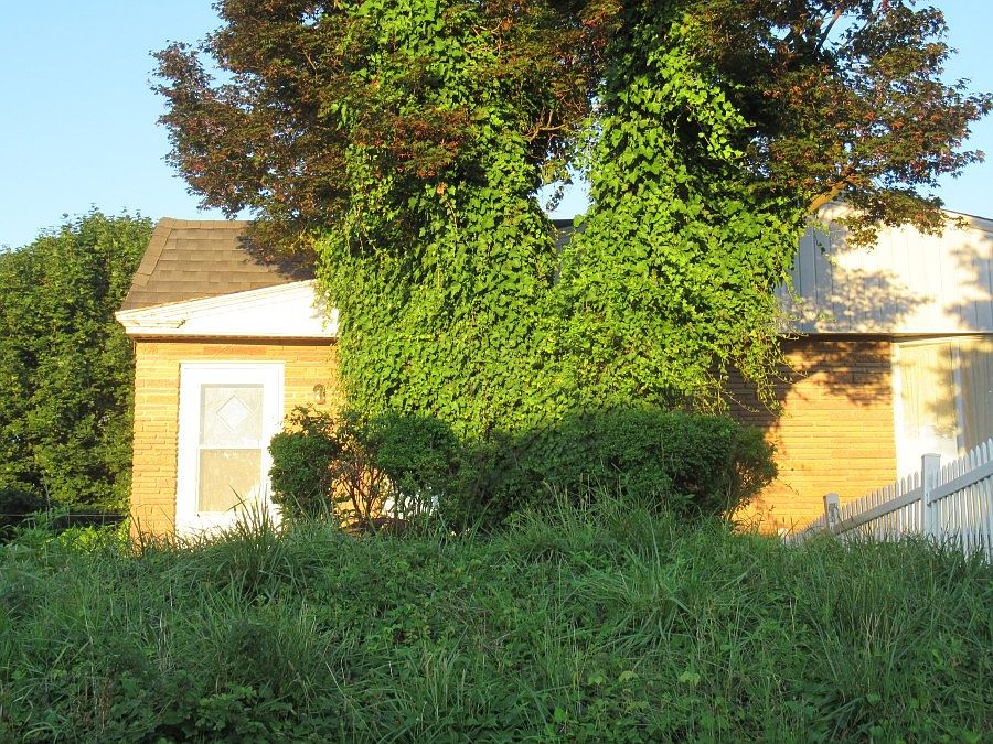 1st image of 1916 Evarts St