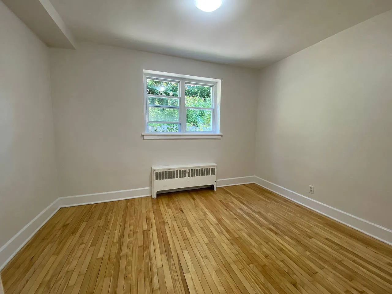 20 Chapleau Ave — Photo 4