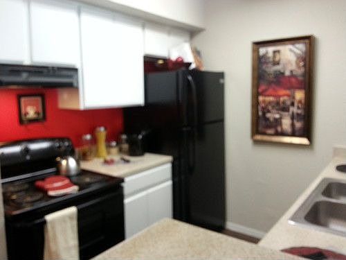 3rd image of 2120 Murphy Dr APT 504