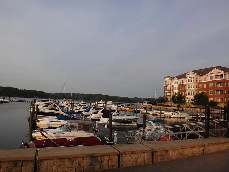 830 Belmont Bay Dr #504 — Photo 35