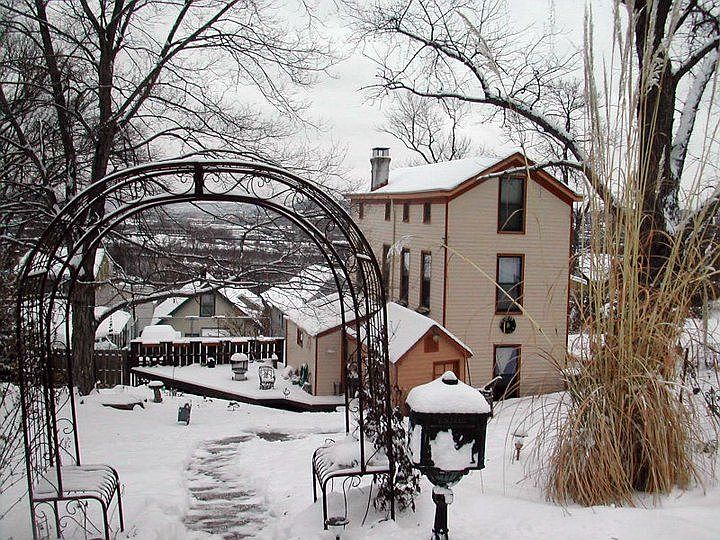 View from Forest Ave