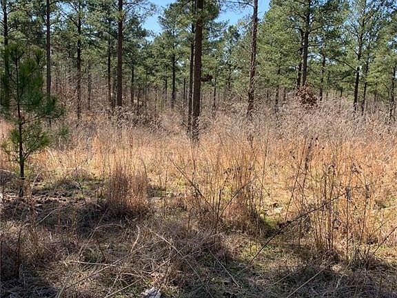 3rd image of W Eagle Mountain Trl Lot 49&50