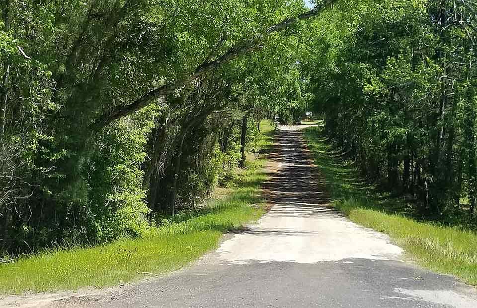 2nd image of Fm 449