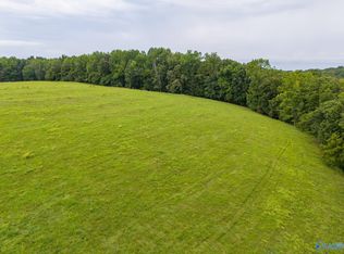 36.49 Elk River Mills Rd, Athens, AL 35614